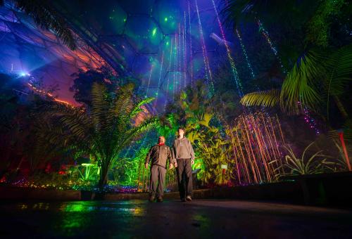 Looking up at the Christmas lights in the Rainforest Biome with people walking past